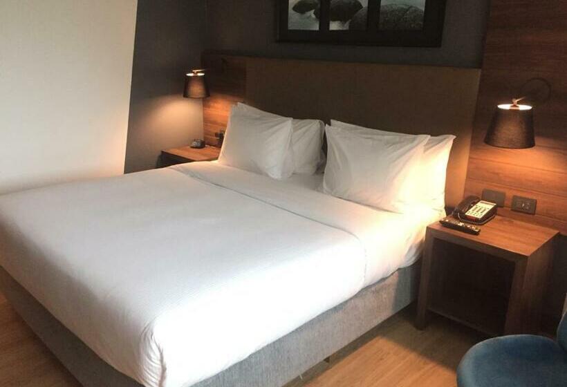 اتاق استاندارد با تخت بزرگ, Courtyard By Marriott Puerto Montt