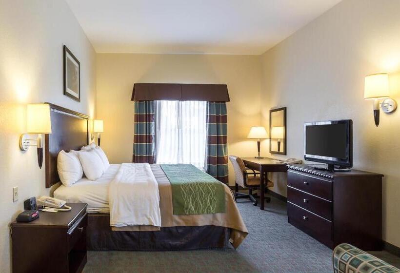 Номер Стандарт Кровать Кинг Адаптированный для Инвалидов, Quality Inn Donaldsonville  Gonzales