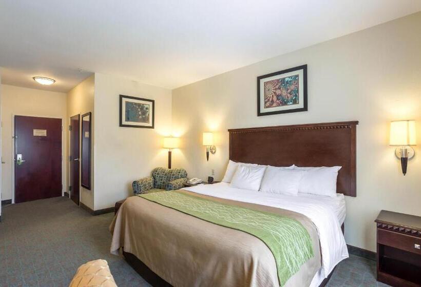 Люкс Адаптированный для Инвалидов, Quality Inn Donaldsonville  Gonzales