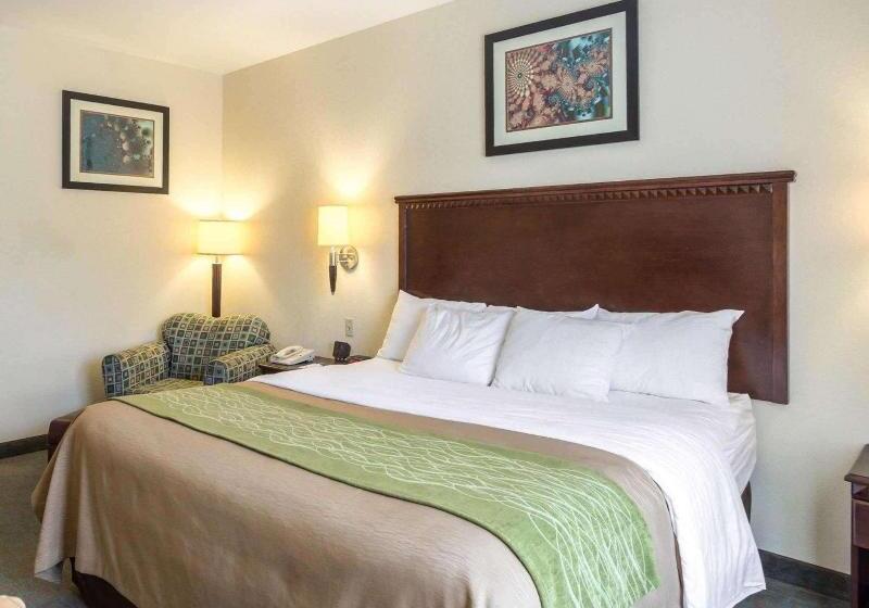Номер Стандарт, Quality Inn Donaldsonville  Gonzales
