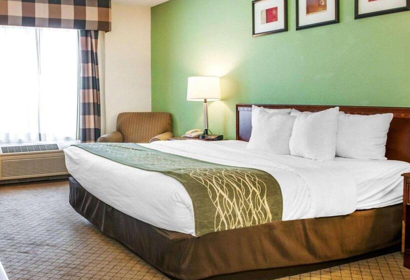 身障者適用キングサイズベッドルーム, Comfort Inn