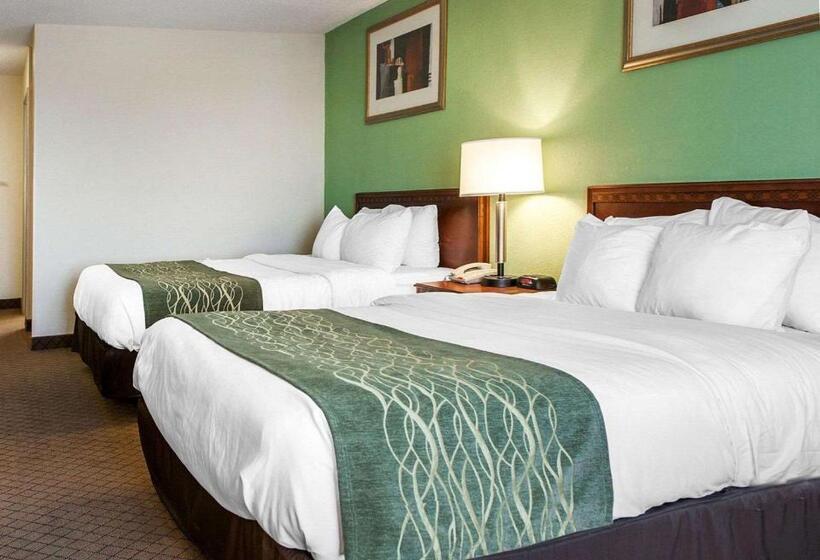 身障者適用クイーンサイズベッドルーム, Comfort Inn