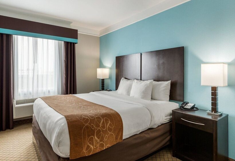 스위트, Comfort Suites At Katy Mills