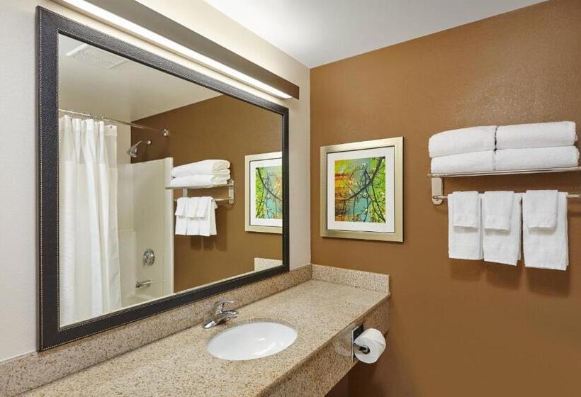 带大床的标准间, Fairfield Inn And Suites Chicago Lombard