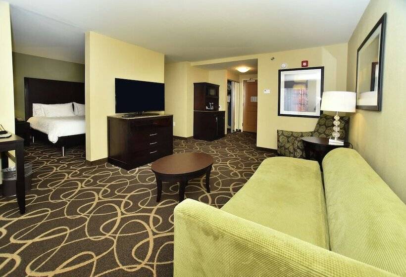 스탠다드 룸, Hilton Garden Inn Atlanta/peachtree City