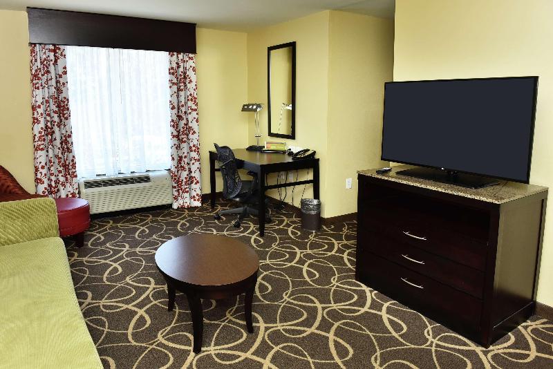 스탠다드 룸 킹사이즈 침대, Hilton Garden Inn Atlanta/peachtree City