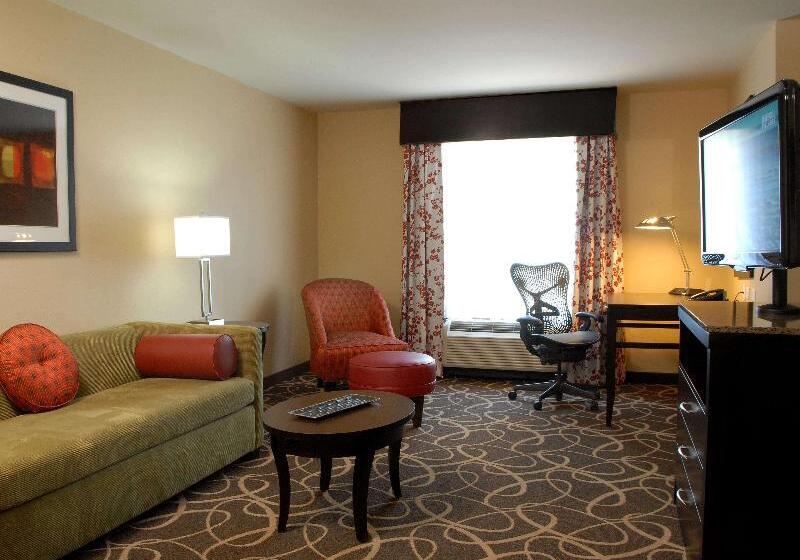 스탠다드 룸 킹사이즈 침대, Hilton Garden Inn Atlanta/peachtree City