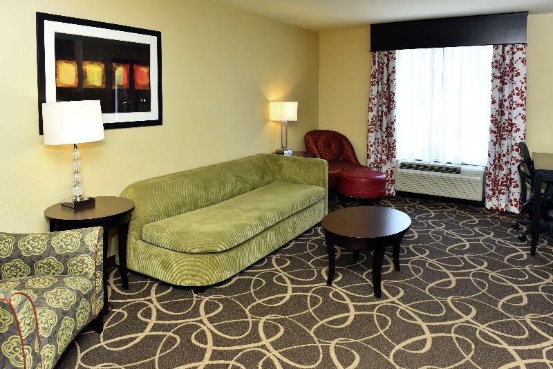 스탠다드 룸 킹사이즈 침대, Hilton Garden Inn Atlanta/peachtree City