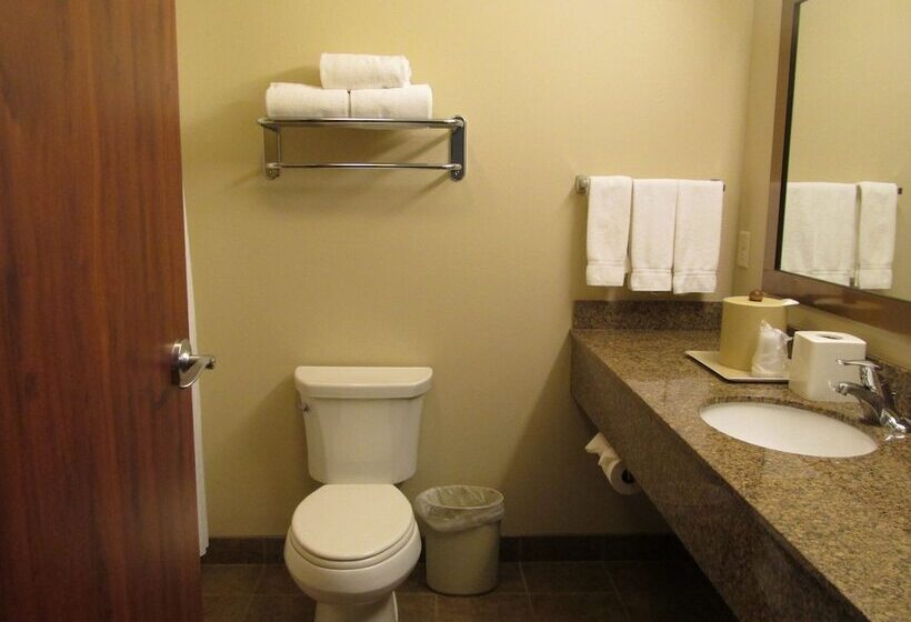 Номер Стандарт, Holiday Inn Express & Suites Sioux Falls Southwest, An Ihg