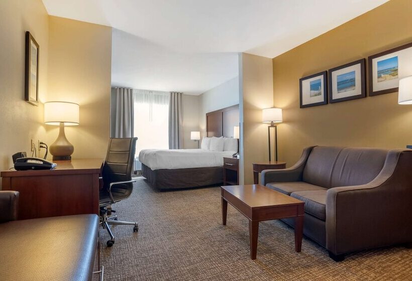 Люкс Адаптированный для Инвалидов, Comfort Suites Foley  North Gulf Shores