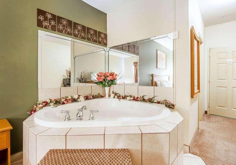 Quarto Estandar Cama King, Econo Lodge  Inn & Suites