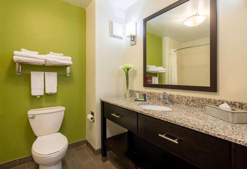 标准间, Sleep Inn & Suites Harbour Pointe