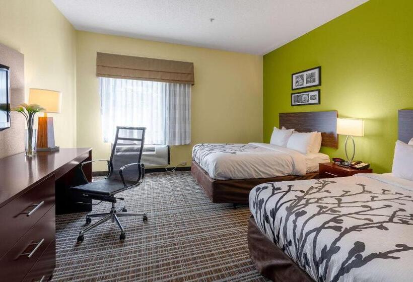 适合残疾人使用的标准间, Sleep Inn & Suites Harbour Pointe