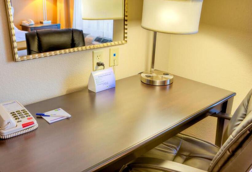 חדר סטנדרט עם מיטת קינג, Holiday Inn Express And Suites Granbury, An Ihg