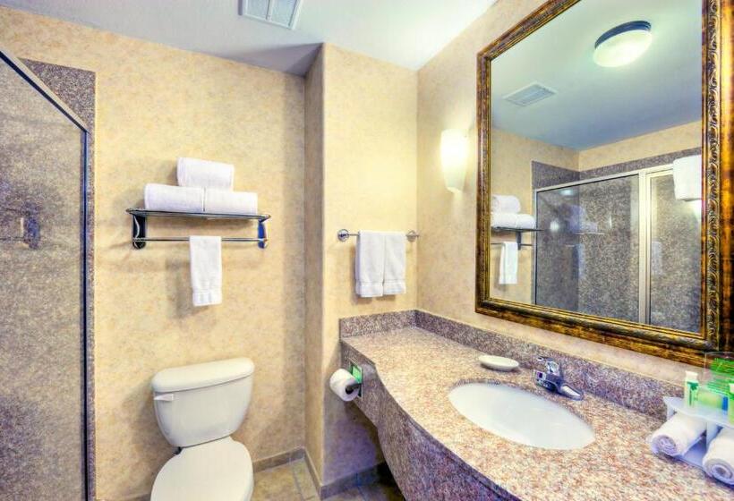 סוויטה מותאמת לאדם עם מוגבלויות, Holiday Inn Express And Suites Granbury, An Ihg