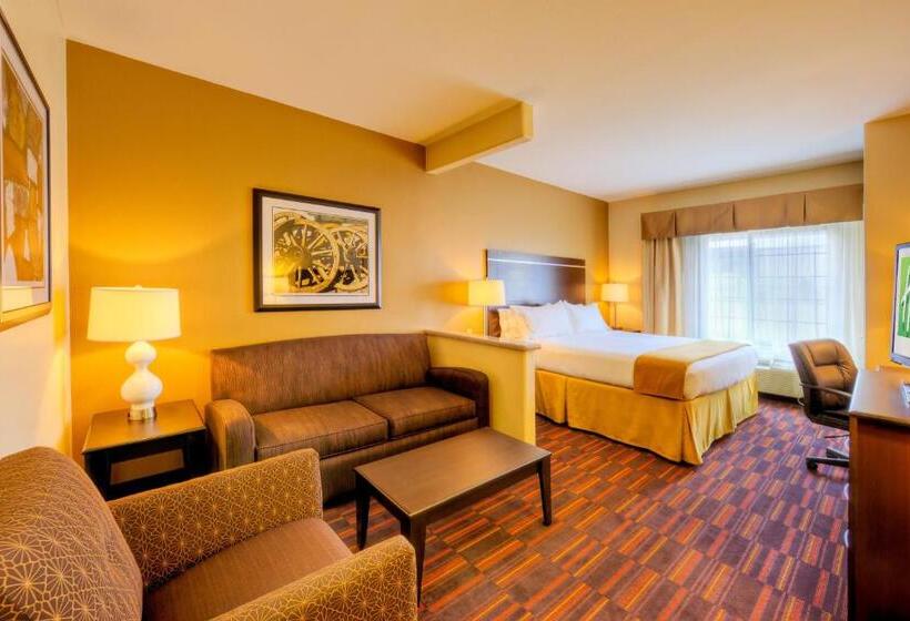 מיטת קינג בסוויטה, Holiday Inn Express And Suites Granbury, An Ihg