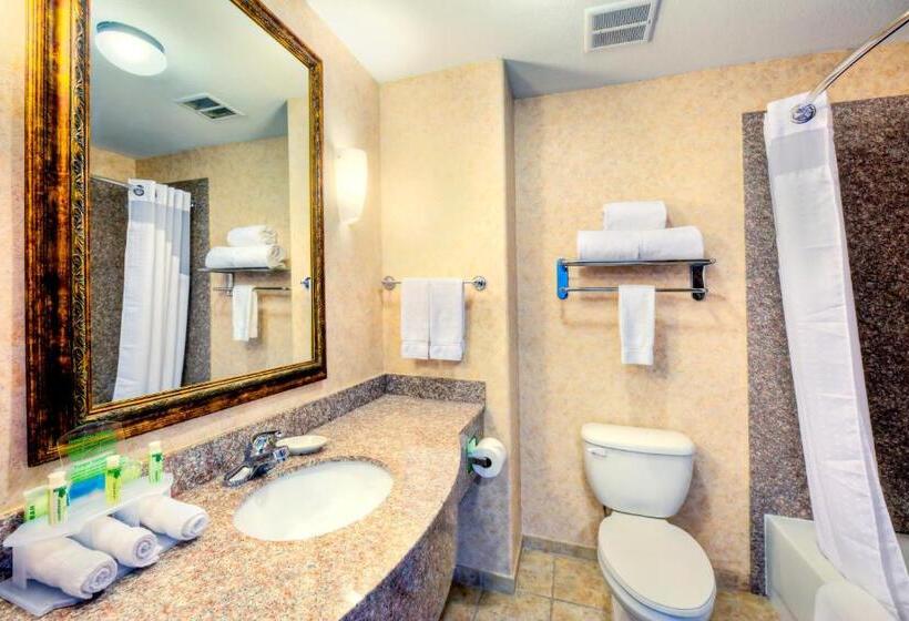 סוויטה, Holiday Inn Express And Suites Granbury, An Ihg