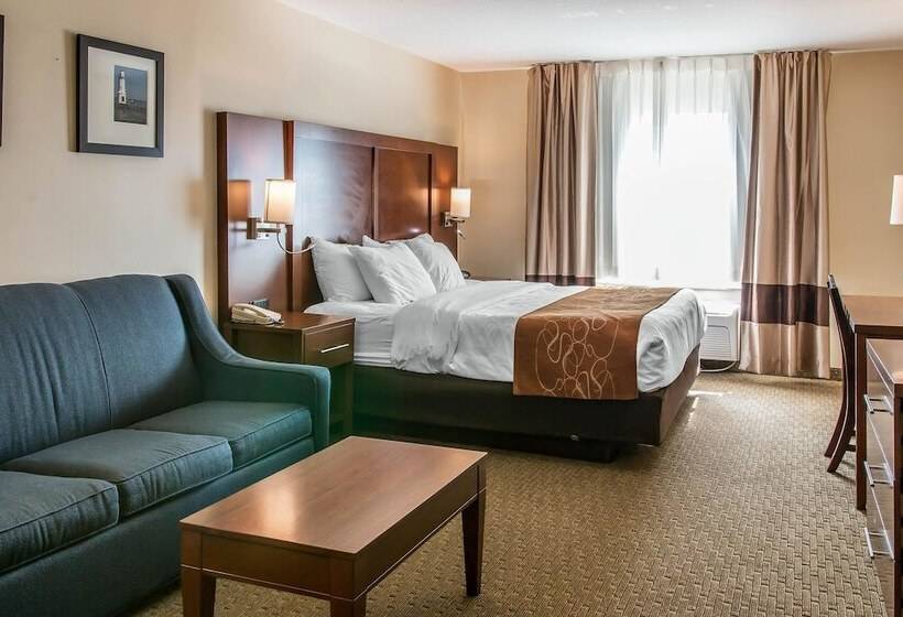 Люкс Адаптированный для Инвалидов, Comfort Suites