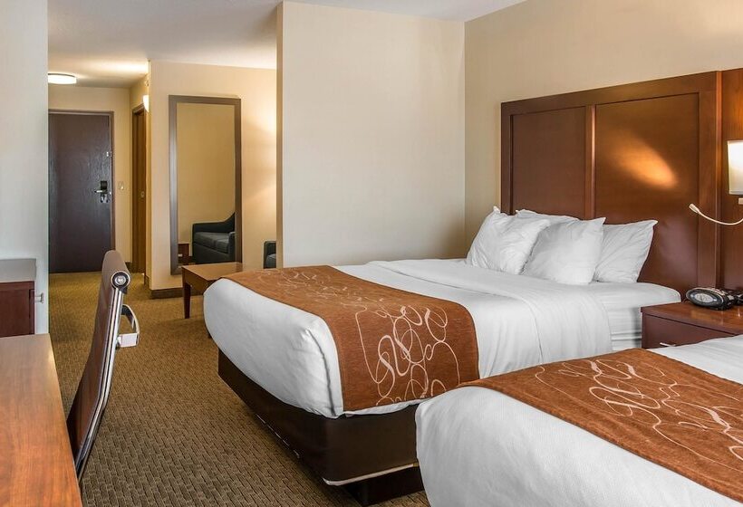 Люкс, Comfort Suites