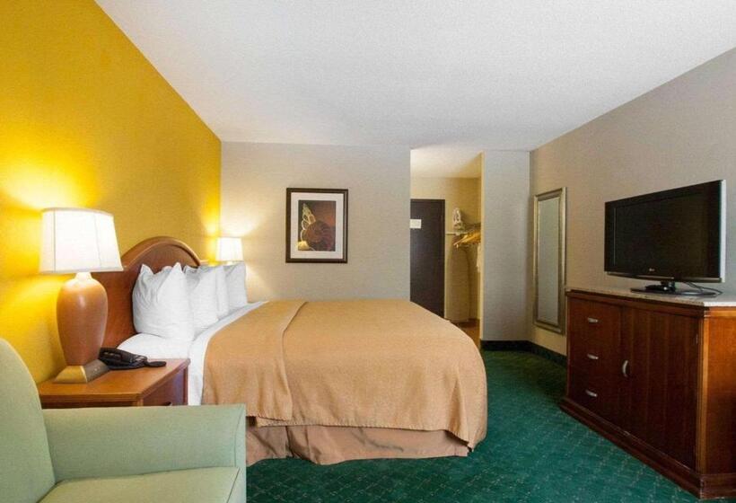 带大床的标准间, Quality Inn Cairo I57