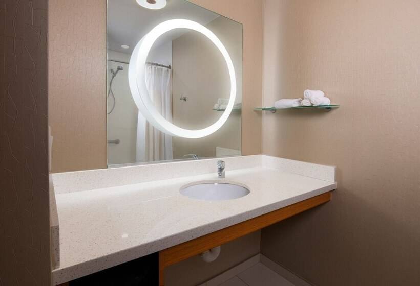 Студия Стандарт, Springhill Suites By Marriott San Angelo