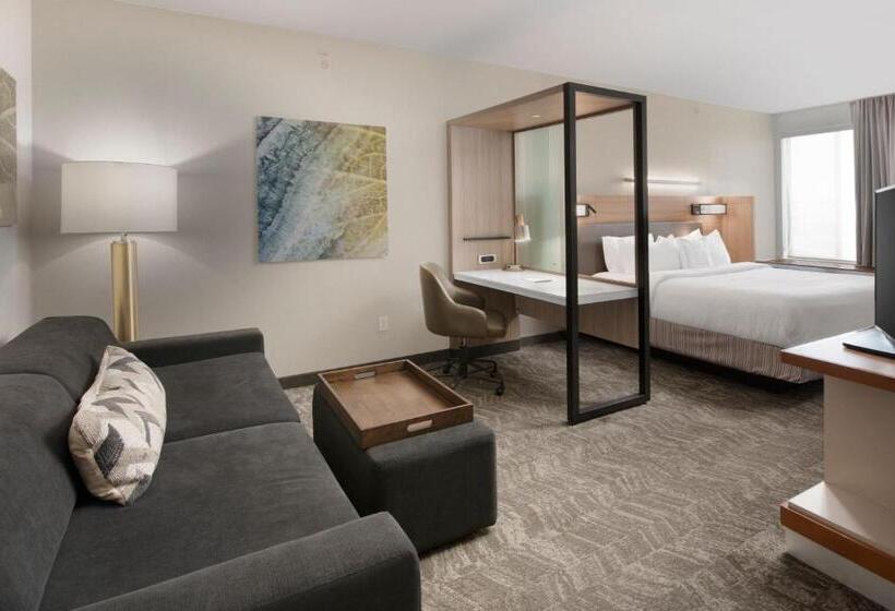 Студио Стандарт Кровать Кинг, Springhill Suites By Marriott San Angelo