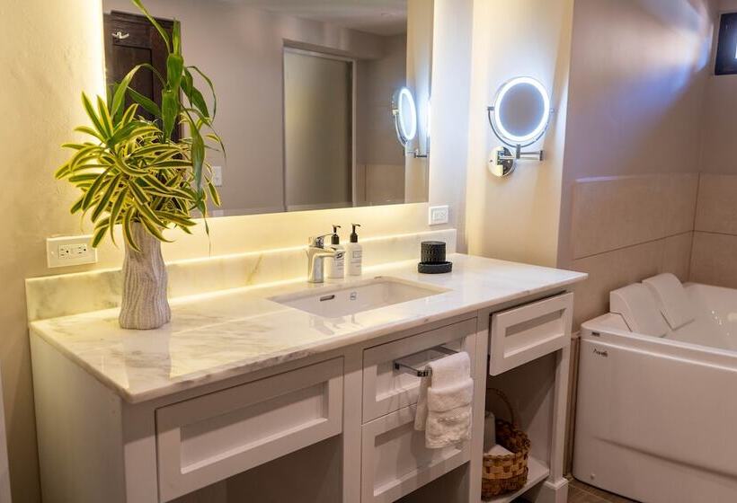 스위트, Valle Escondido Wellness Resort