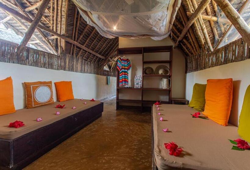 Номер Стандарт, Zoi Beach House