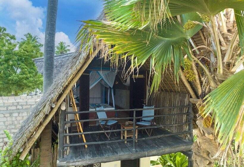 Номер Стандарт, Zoi Beach House