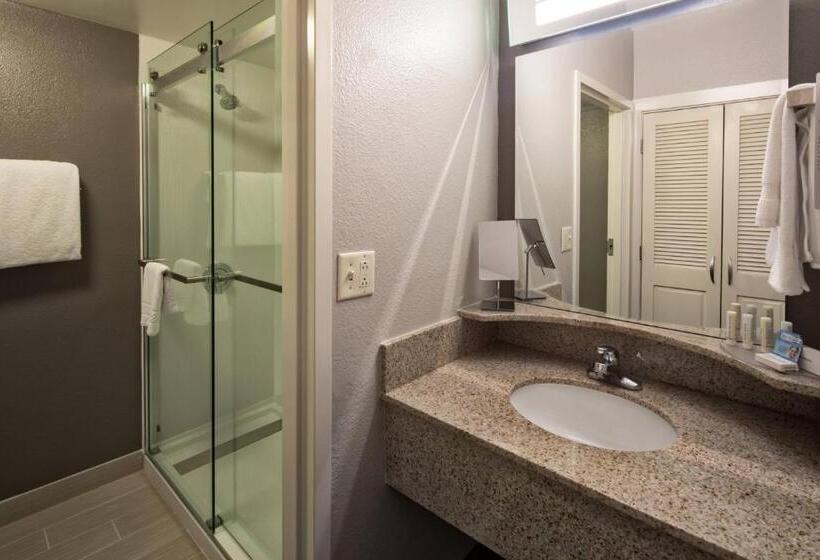 Standard Szoba King Size Bed, Courtyard By Marriott Rock Hill