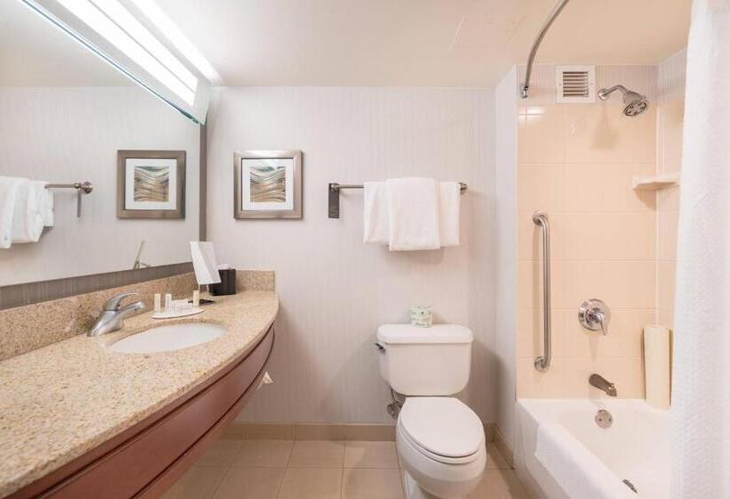 스탠다드 룸 킹사이즈 침대, Courtyard By Marriott Silver Spring Downtown
