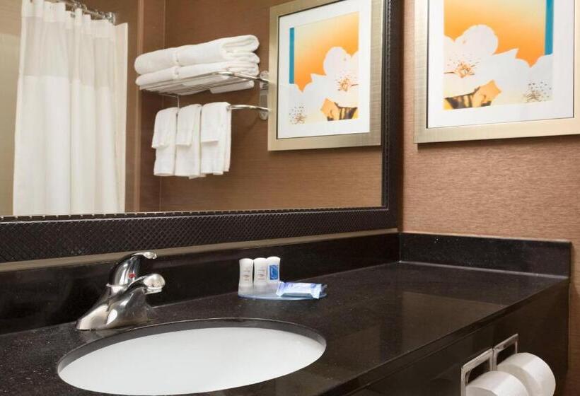 带双人床的标准工作室, Fairfield Inn & Suites Bismarck South