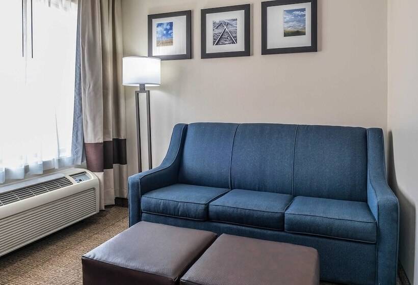 Люкс, Comfort Suites