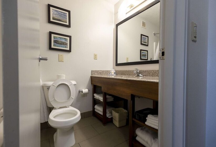 Люкс, Comfort Suites
