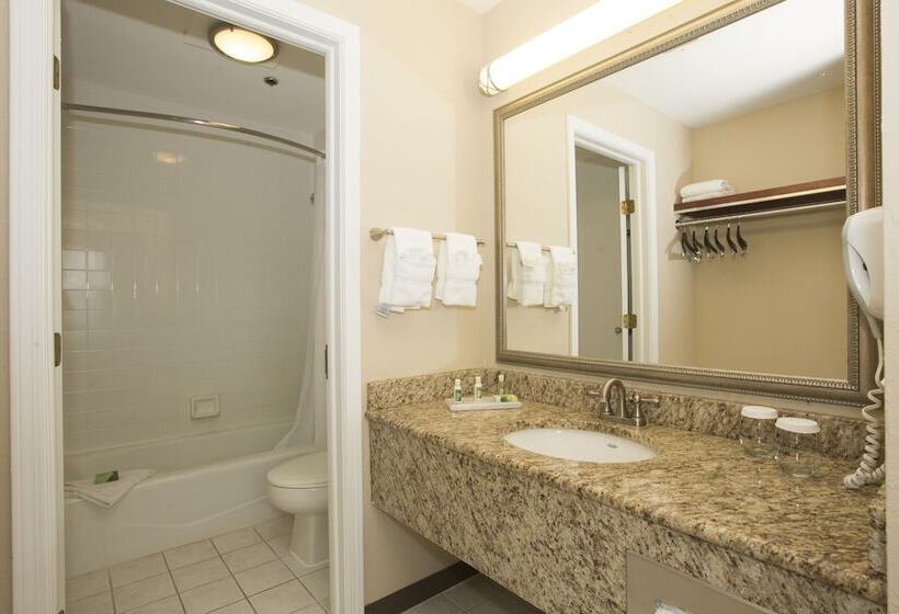 Quarto standard, Ivy Court Inn And Suites