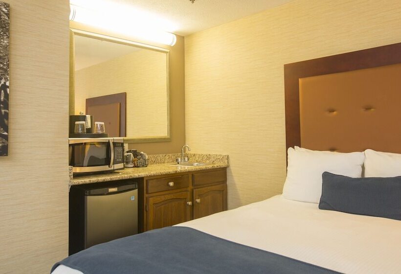 Quarto standard, Ivy Court Inn And Suites