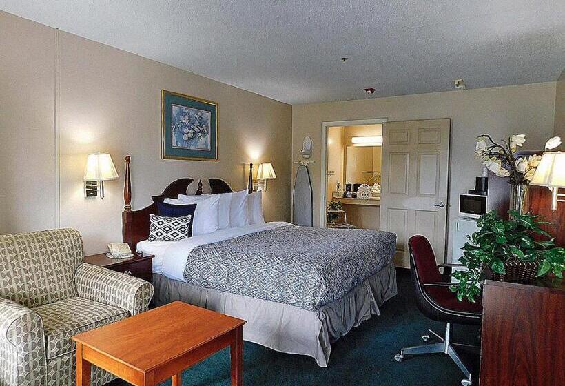 장애인을 위한 킹사이즈 침대 스탠다드 룸, Americas Best Value Inn Rome