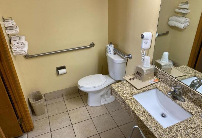 장애인을 위한 스탠다드 룸, Budget Host Inn   Baxley
