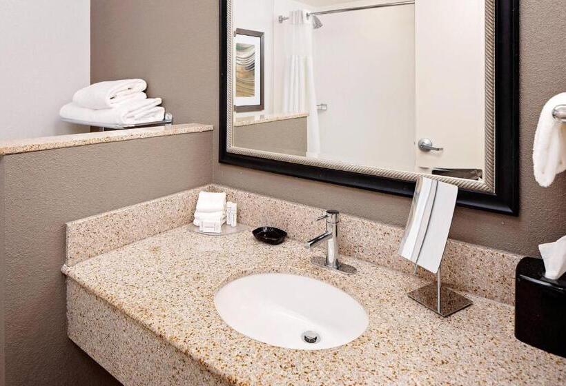 장애인을 위한 킹사이즈 침대 스탠다드 룸, Courtyard By Marriott Pittsburgh West Homestead Waterfront