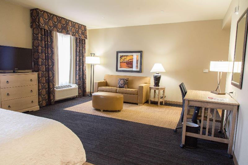 Студио Стандарт Кровать Кинг, Hampton Inn & Suites Dodge City