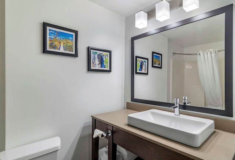 スイート, Comfort Inn & Suites Calhoun South