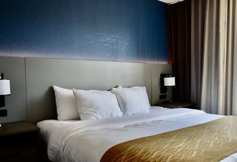 套房, Comfort Inn & Suites Calhoun South