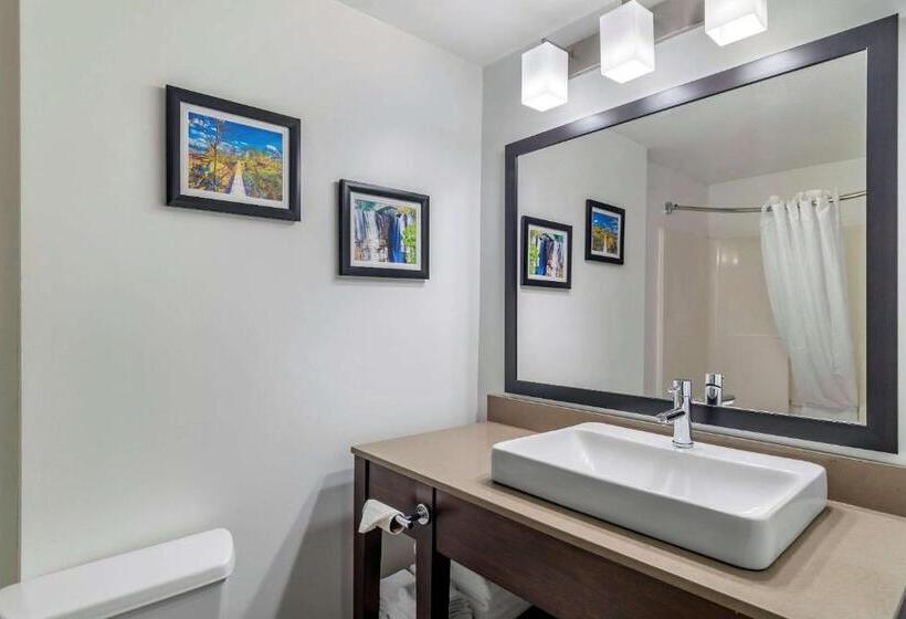キングサイズベッドのスタンダードルーム, Comfort Inn & Suites Calhoun South