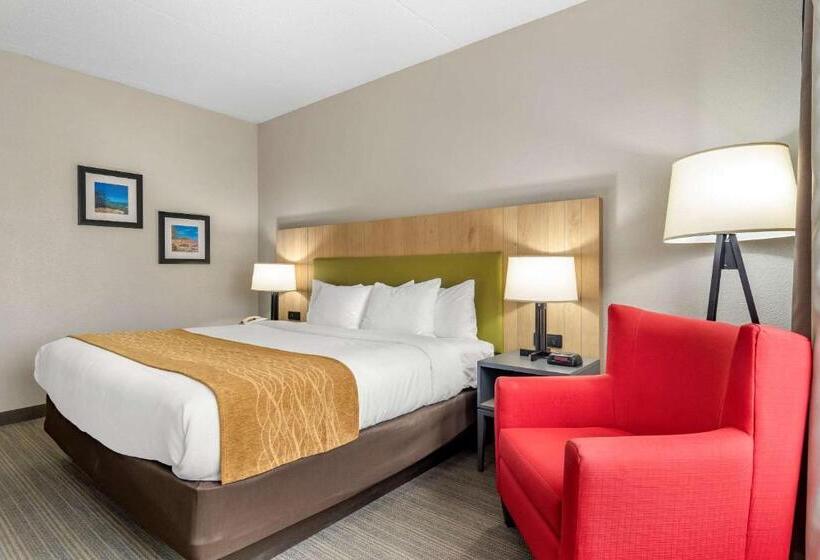キングサイズベッドのスタンダードルーム, Comfort Inn & Suites Calhoun South