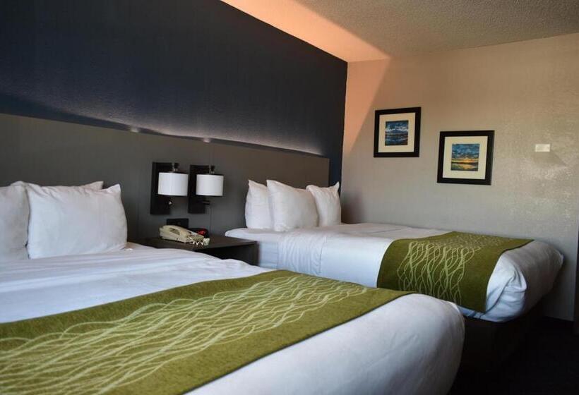 标准间, Comfort Inn & Suites Calhoun South