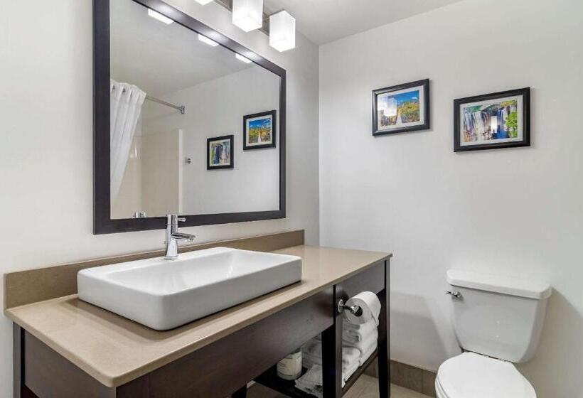 标准间, Comfort Inn & Suites Calhoun South