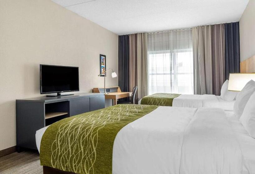 スタンダードルーム, Comfort Inn & Suites Calhoun South