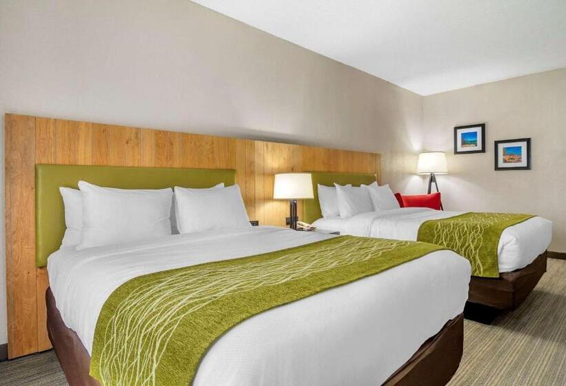 标准间, Comfort Inn & Suites Calhoun South