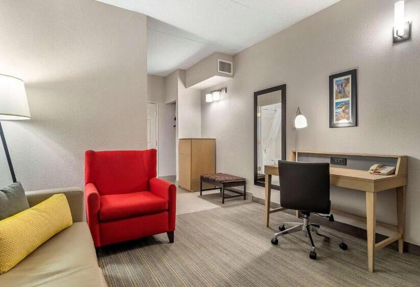 带大床的套房, Comfort Inn & Suites Calhoun South