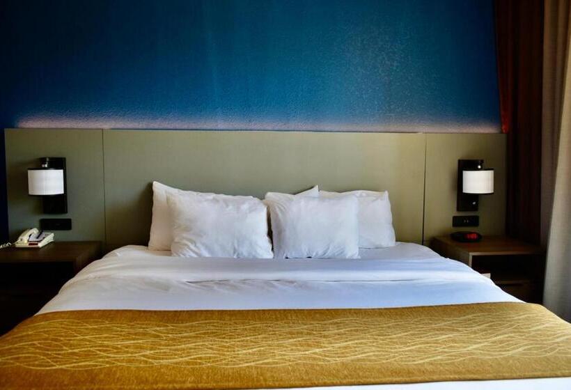 キングサイズベッドのスイートルーム, Comfort Inn & Suites Calhoun South